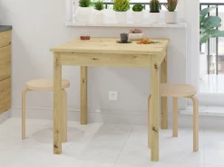 Bord Bristol 219 (Artisan eg)