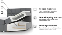 Kontinentalseng Aedes (Rico 1)