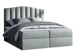 Kontinentalseng Cantus (Casablanca 2314)