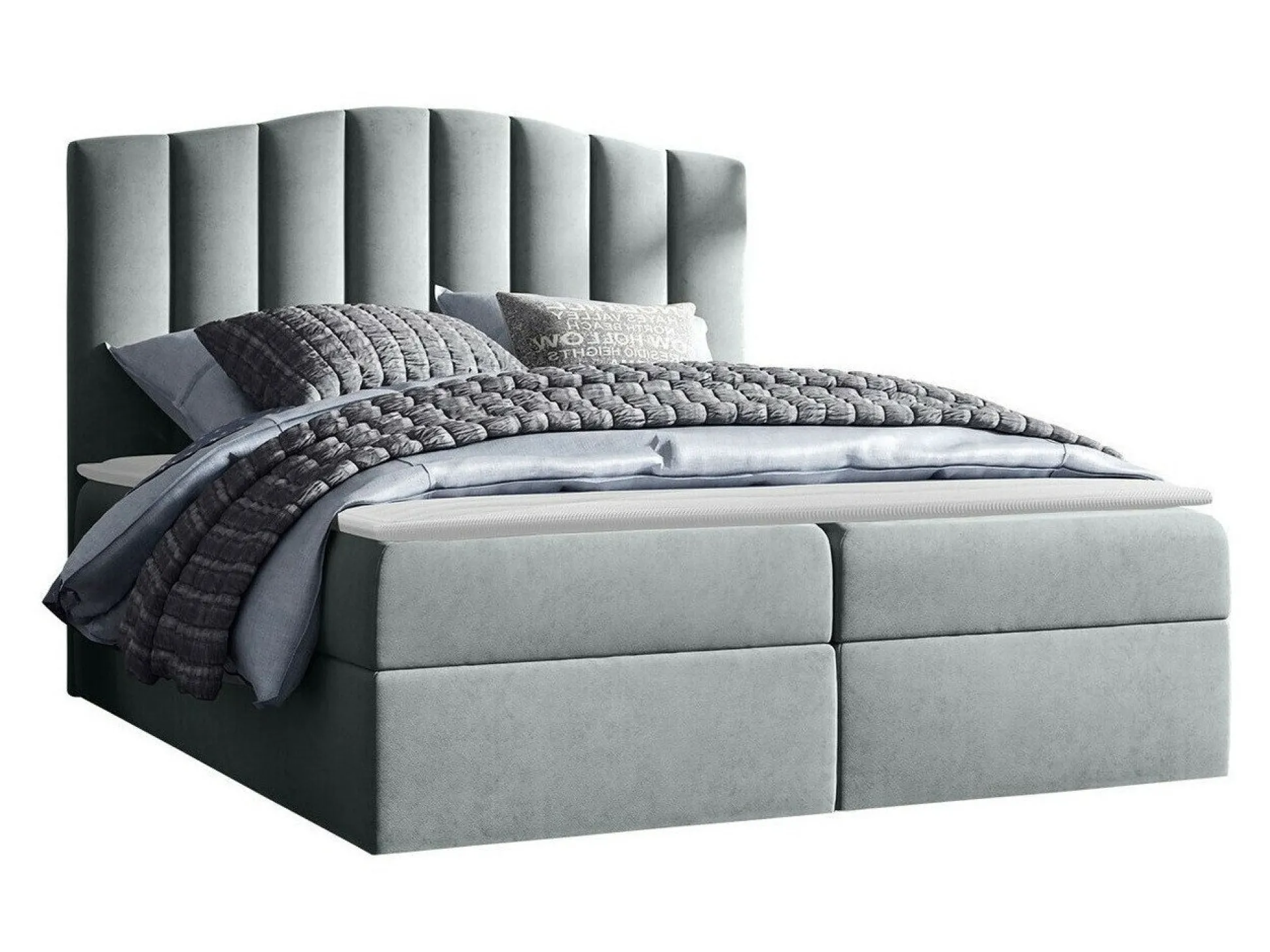 Kontinentalseng Cantus (Casablanca 2314)