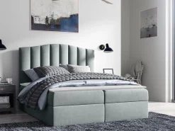 Kontinentalseng Cantus (Casablanca 2314)