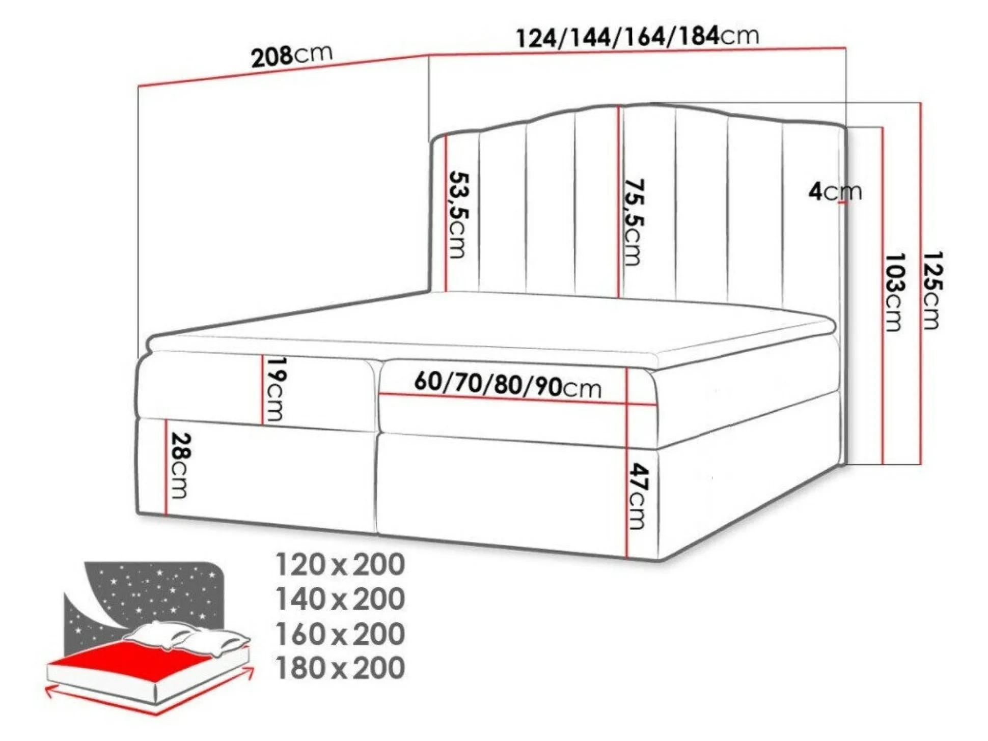 Kontinentalseng Cantus (Casablanca 2314)