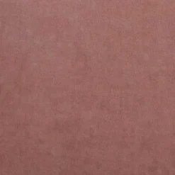 Kontinentalseng Litus (Mono 235)