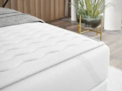 Kontinentalseng Lucus VI (Soft 017 + Fresh 1)