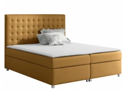 Kontinentalseng Panis (Bristol 2449)