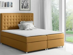 Kontinentalseng Panis (Bristol 2449)