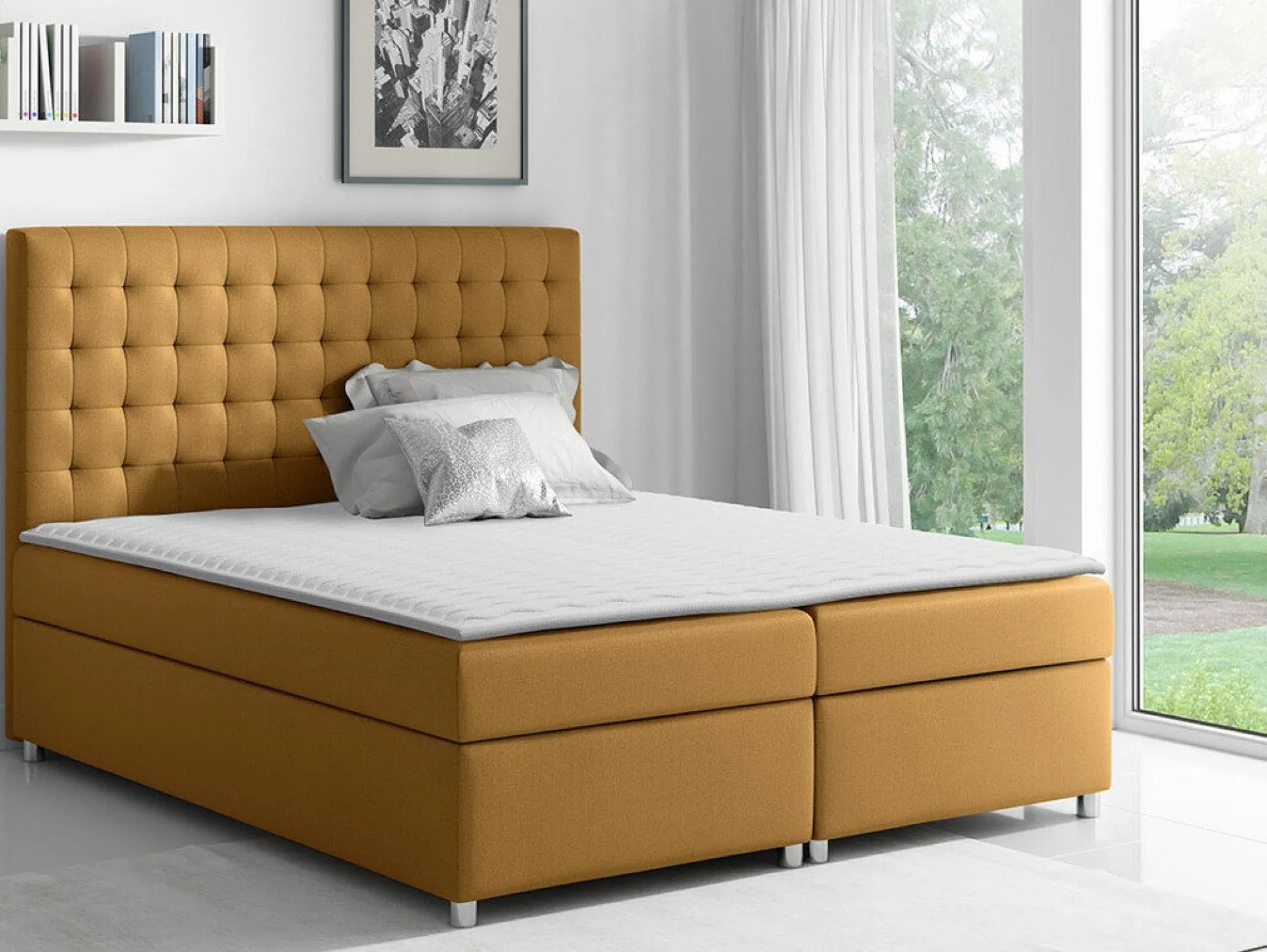 Kontinentalseng Panis (Bristol 2449)