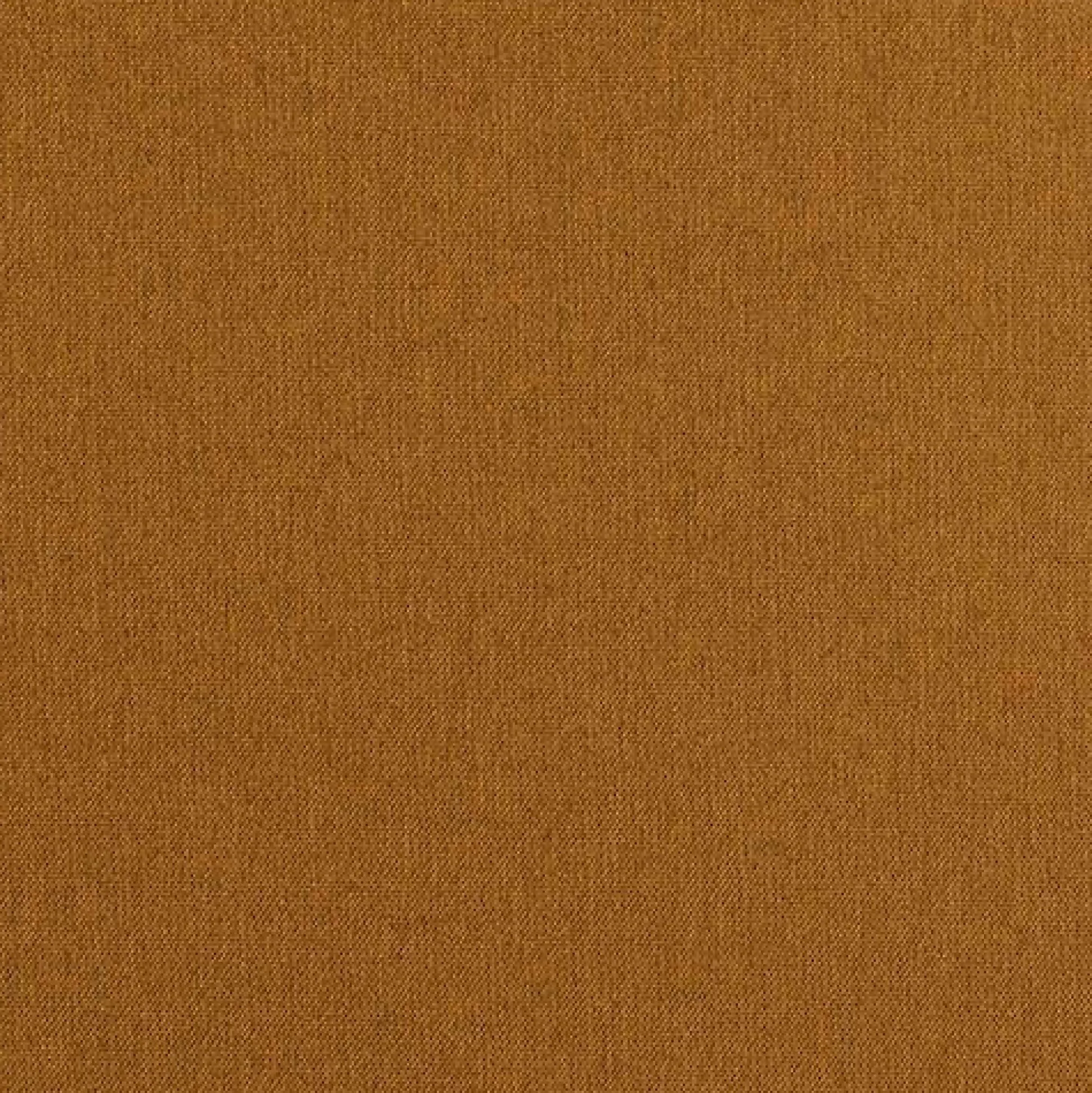 Kontinentalseng Panis (Bristol 2449)