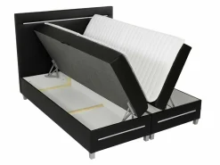 Kontinentalseng Pluvia (Fresh 1)