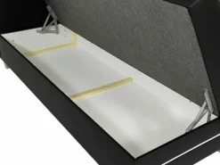 Kontinentalseng Pluvia (Fresh 1)