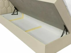 Kontinentalseng Pons III (Fresh 4)