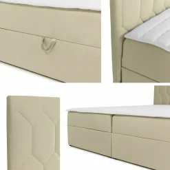 Kontinentalseng Pons III (Fresh 4)