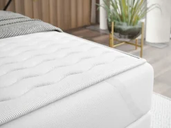 Kontinentalseng Rivus (Coral 15)