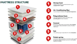 Madras ComfiDream Strong