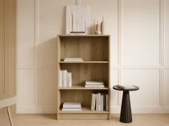 Reol Ontario 193 (Artisan eg)