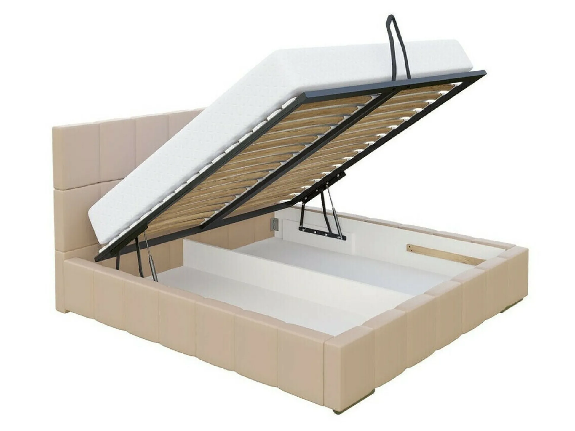 Seng Arcus (Rico 11)