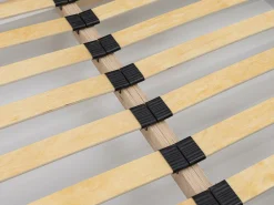 Seng Comfivo Fabrica (Kronos 19)