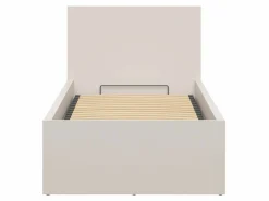 Seng Livevaro 126 (Kashmir)