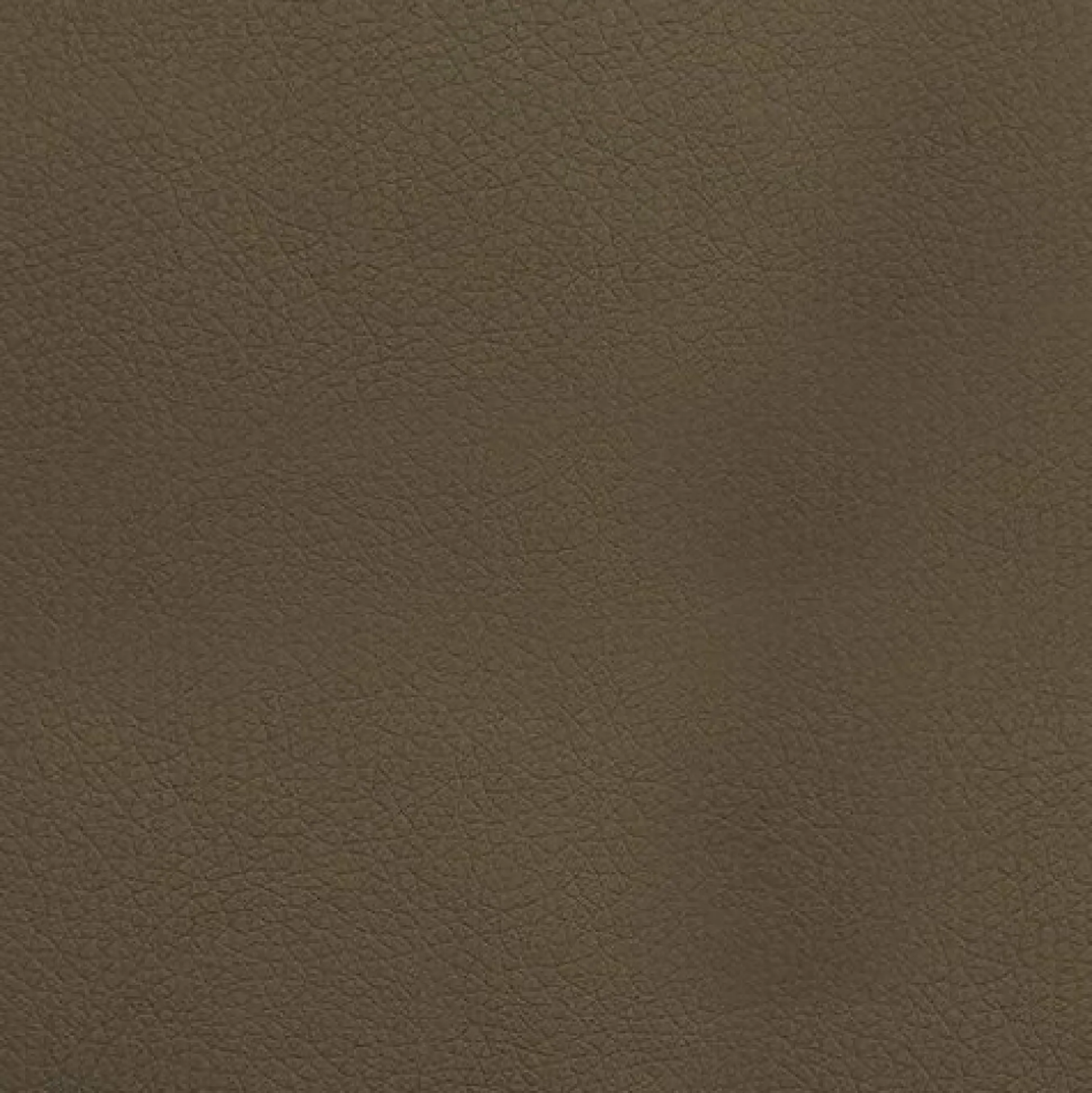 Seng Nota (Blød 030)