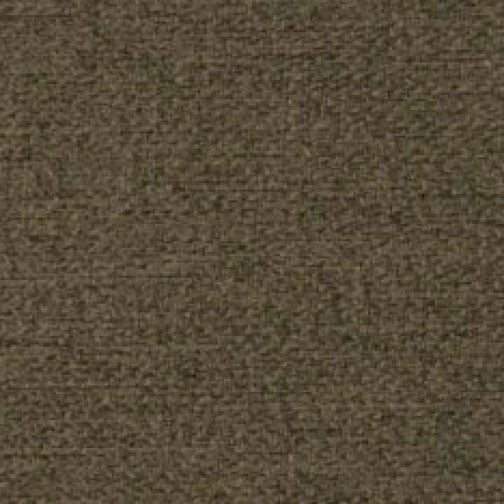 Seng Pomona 101 (Malmo 13 365)