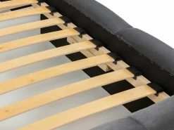 Seng TrendyNest Alceus I (Paros 01)