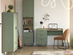 Skrivebord Fertalu 103 (Grøn + Egetræ)