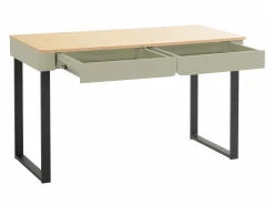 Skrivebord Fiosono 109 (Eukalyptus + Egetræ)