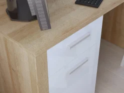 Skrivebord Sonali 100