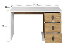 Skrivebord Tesonu 100