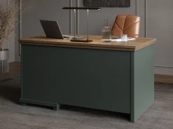 Skrivebord Tolnue 132