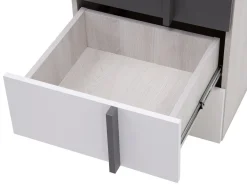 Skuffesektion Ferlore 110