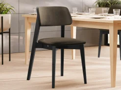 Stol Dearborn 100 (Magic Velvet 2205)