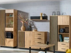 Stuemøbelsæt Tenodeu 116