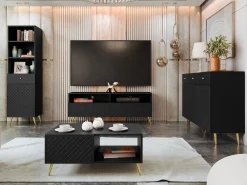 TV-bord Comfivo Pavo (Sort)