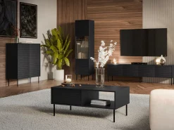 TV-bord Flosoru 105 (Sort)