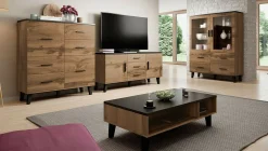 TV-bord Larfloi 107 (Wotan eg + Sort)