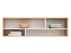 Vægreol Tesmonu 111